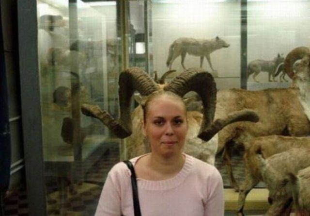 Bildschirmarbeiter - Picdump 11.01.2013