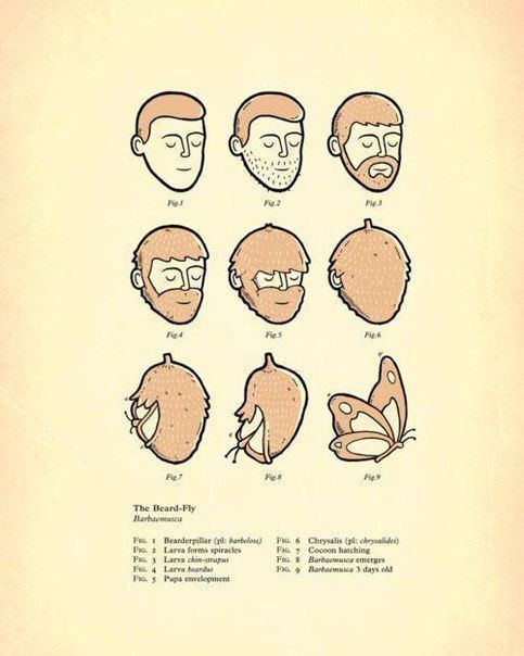 Bildschirmarbeiter - Picdump 11.01.2013