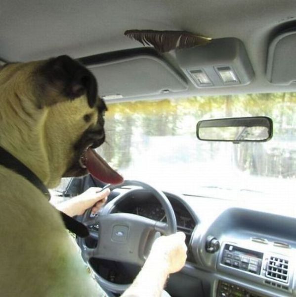 Bildschirmarbeiter - Picdump 11.01.2013