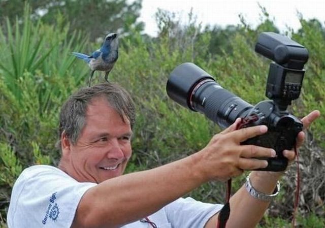 Bildschirmarbeiter - Picdump 11.01.2013