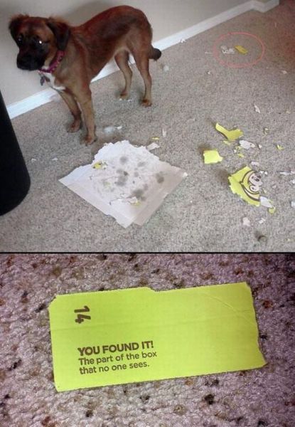 Bildschirmarbeiter - Picdump 11.01.2013