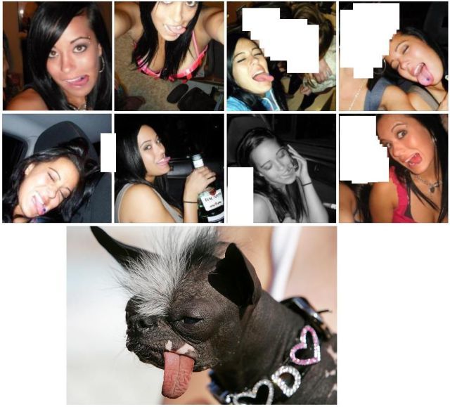 Bildschirmarbeiter - Picdump 11.01.2013