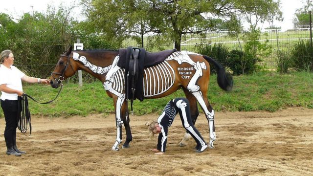 Bildschirmarbeiter - Picdump 11.01.2013