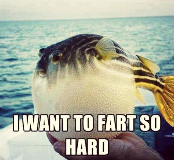 Bildschirmarbeiter - Picdump 11.01.2013