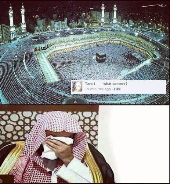 Bildschirmarbeiter - Picdump 11.01.2013