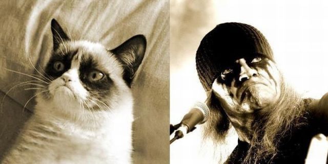 Bildschirmarbeiter - Picdump 18.01.2013