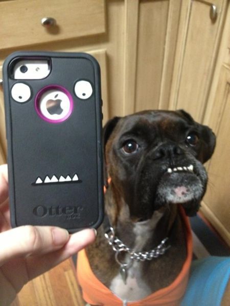 Bildschirmarbeiter - Picdump 18.01.2013