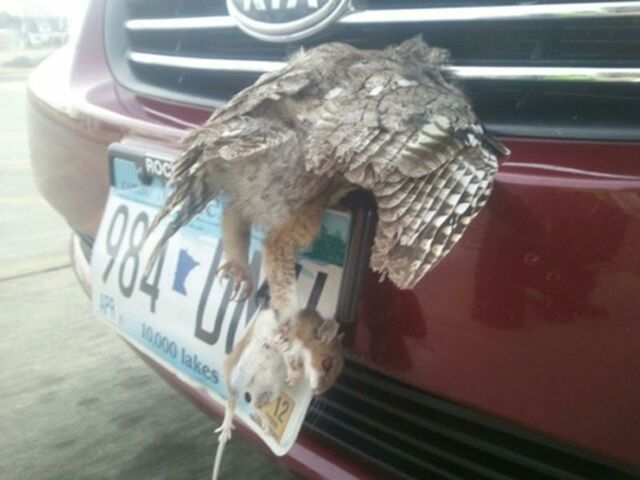 Bildschirmarbeiter - Picdump 18.01.2013