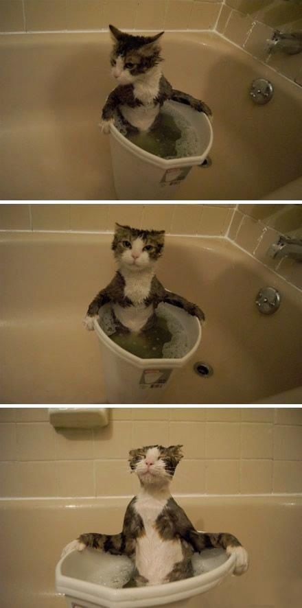 Bildschirmarbeiter - Picdump 18.01.2013