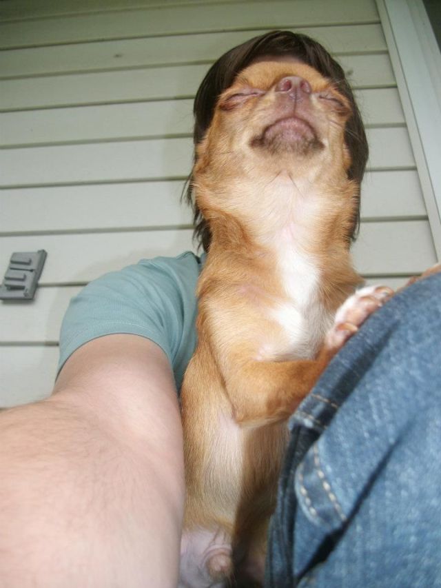 Bildschirmarbeiter - Picdump 18.01.2013