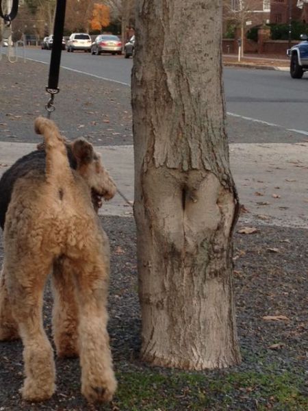 Bildschirmarbeiter - Picdump 18.01.2013