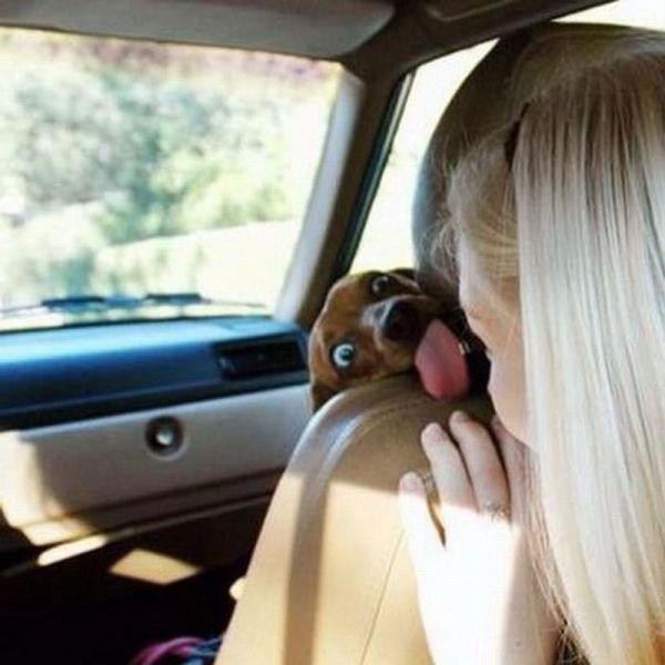 Bildschirmarbeiter - Picdump 18.01.2013