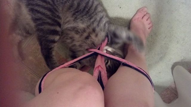 Bildschirmarbeiter - Picdump 18.01.2013