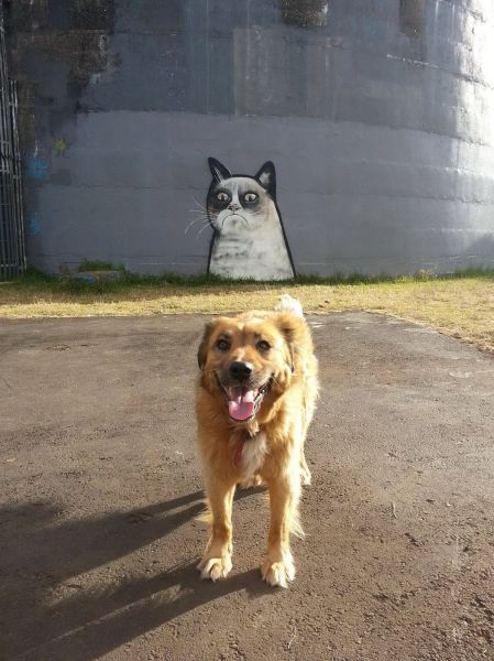 Bildschirmarbeiter - Picdump 18.01.2013