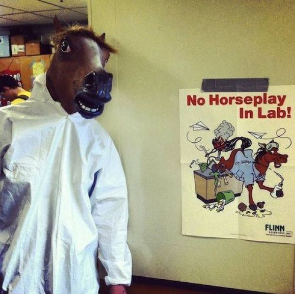 Bildschirmarbeiter - Picdump 18.01.2013