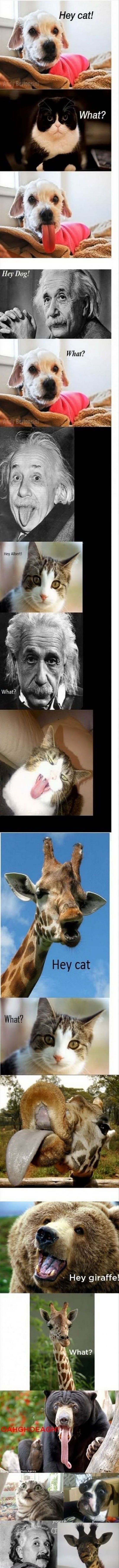 Bildschirmarbeiter - Picdump 18.01.2013