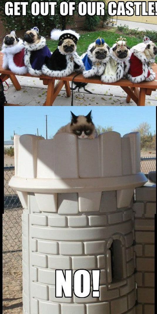 Bildschirmarbeiter - Picdump 18.01.2013