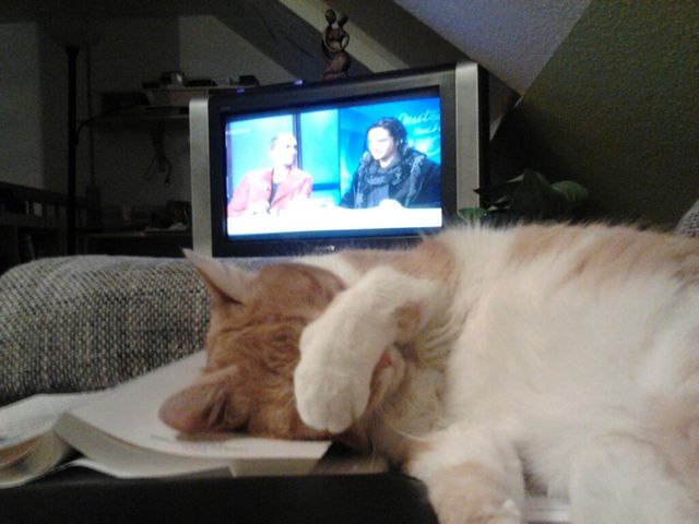 Bildschirmarbeiter - Picdump 25.01.2013