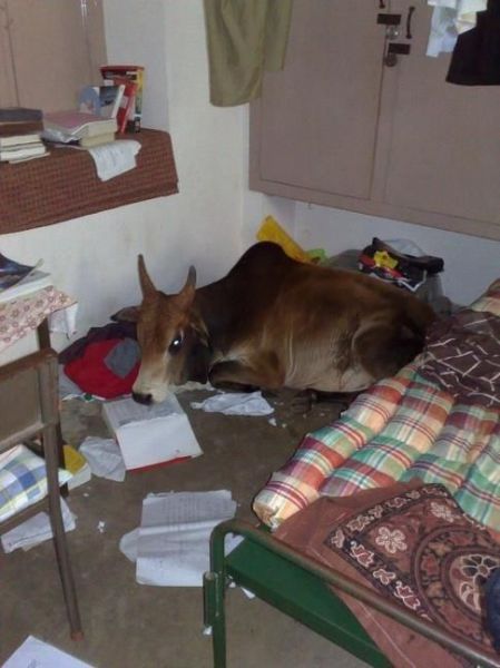 Bildschirmarbeiter - Picdump 25.01.2013