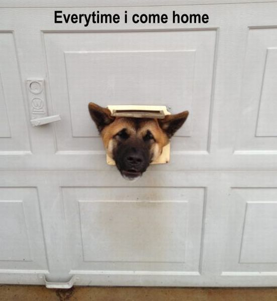 Bildschirmarbeiter - Picdump 25.01.2013