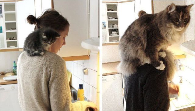 Bildschirmarbeiter - Picdump 25.01.2013