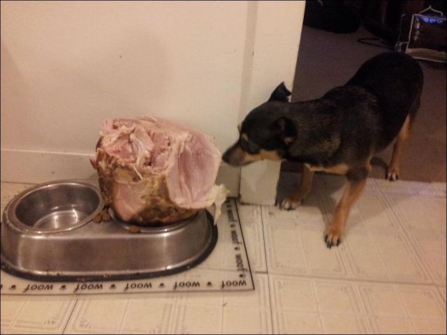 Bildschirmarbeiter - Picdump 25.01.2013