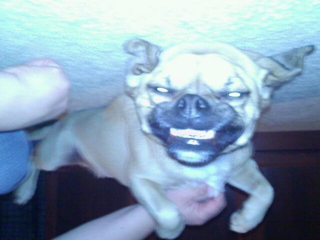 Bildschirmarbeiter - Picdump 25.01.2013