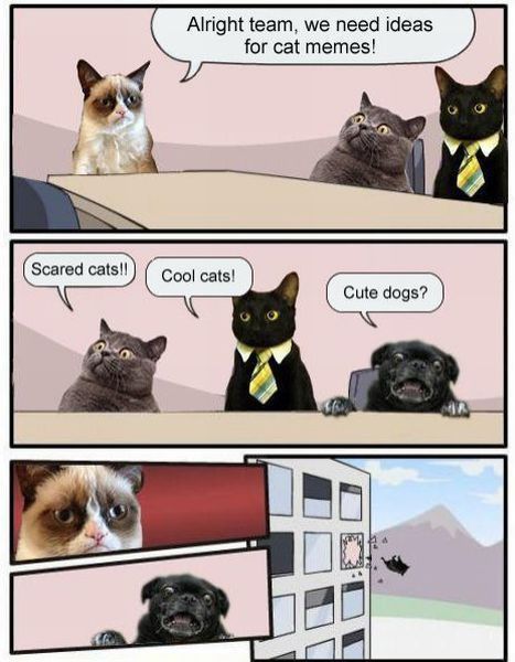 Bildschirmarbeiter - Picdump 25.01.2013