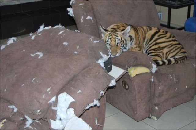 Bildschirmarbeiter - Picdump 25.01.2013