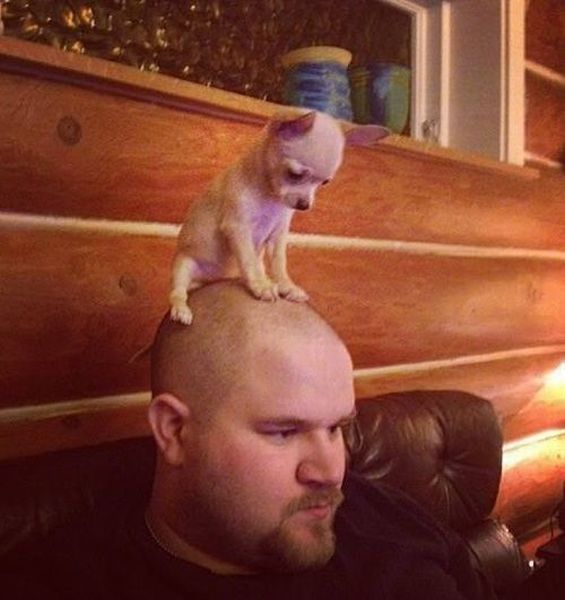 Bildschirmarbeiter - Picdump 25.01.2013