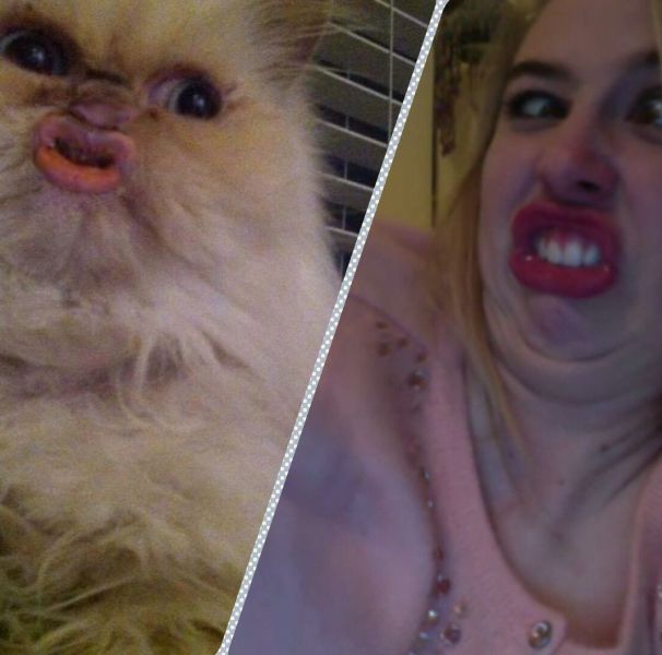 Bildschirmarbeiter - Picdump 25.01.2013