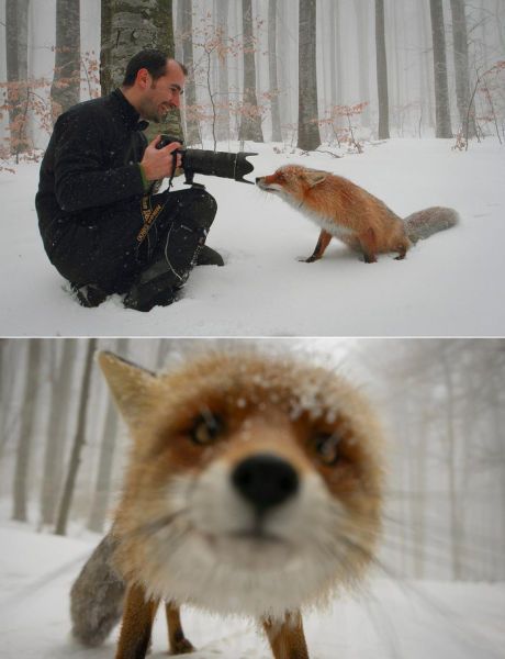 Bildschirmarbeiter - Picdump 25.01.2013