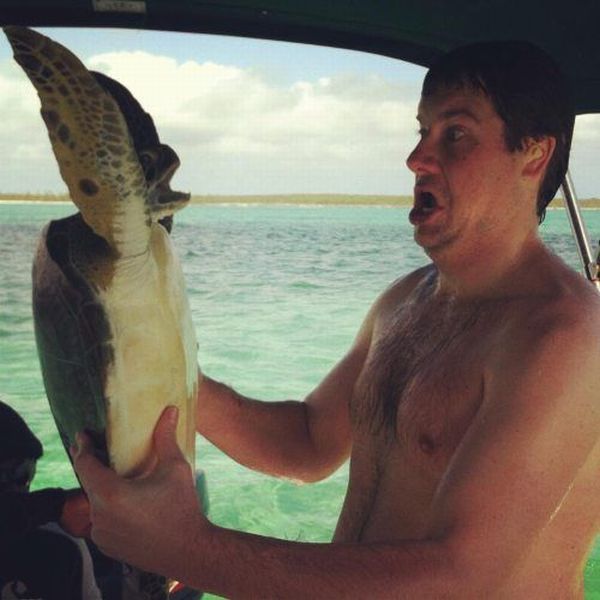 Bildschirmarbeiter - Picdump 25.01.2013