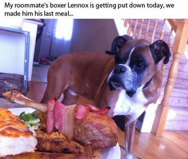 Bildschirmarbeiter - Picdump 25.01.2013