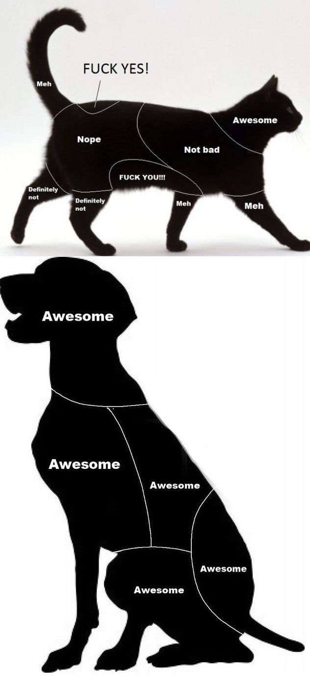 Bildschirmarbeiter - Picdump 25.01.2013