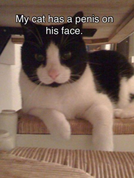 Bildschirmarbeiter - Picdump 25.01.2013