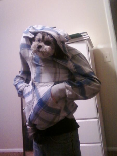 Bildschirmarbeiter - Picdump 25.01.2013