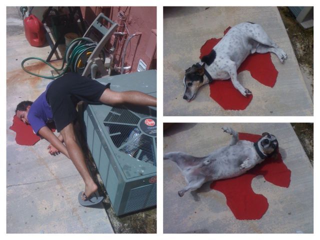 Bildschirmarbeiter - Picdump 25.01.2013