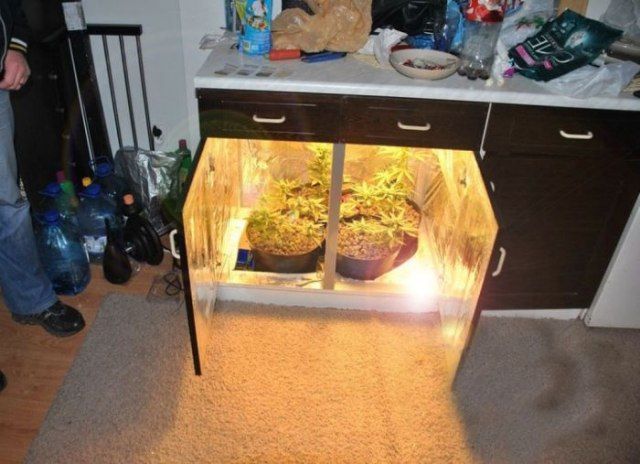 Bildschirmarbeiter - Picdump 08.02.2013