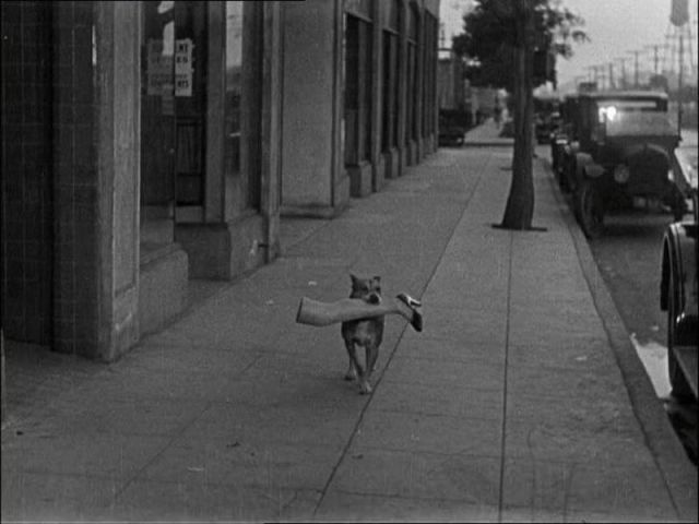 Bildschirmarbeiter - Picdump 08.02.2013