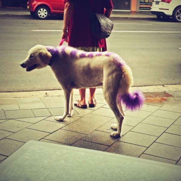 Bildschirmarbeiter - Picdump 08.02.2013