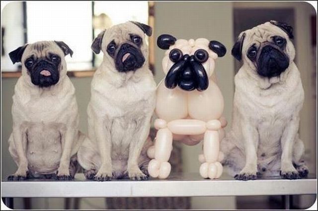 Bildschirmarbeiter - Picdump 08.02.2013