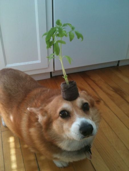 Bildschirmarbeiter - Picdump 08.02.2013