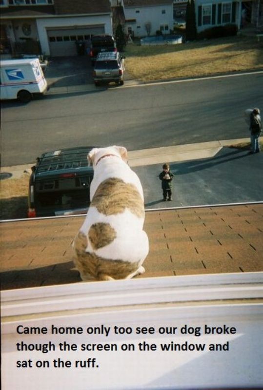 Bildschirmarbeiter - Picdump 08.02.2013