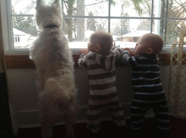 Bildschirmarbeiter - Picdump 08.02.2013