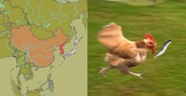 Bildschirmarbeiter - Picdump 08.02.2013