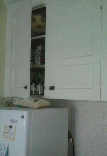 Bildschirmarbeiter - Picdump 15.02.2013