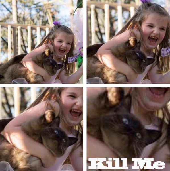 Bildschirmarbeiter - Picdump 15.02.2013