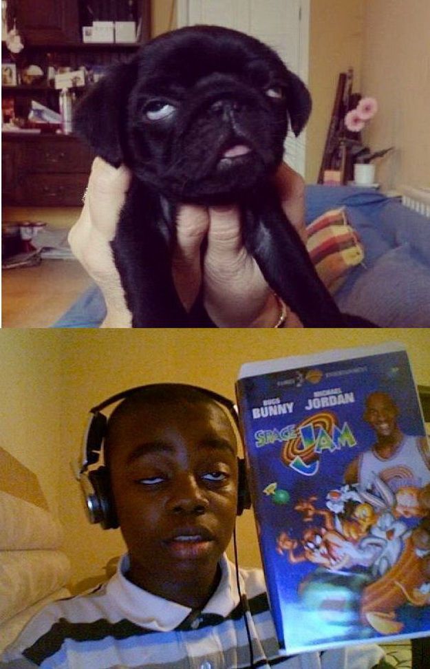 Bildschirmarbeiter - Picdump 15.02.2013