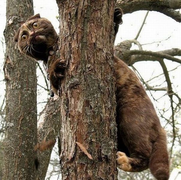 Bildschirmarbeiter - Picdump 15.02.2013